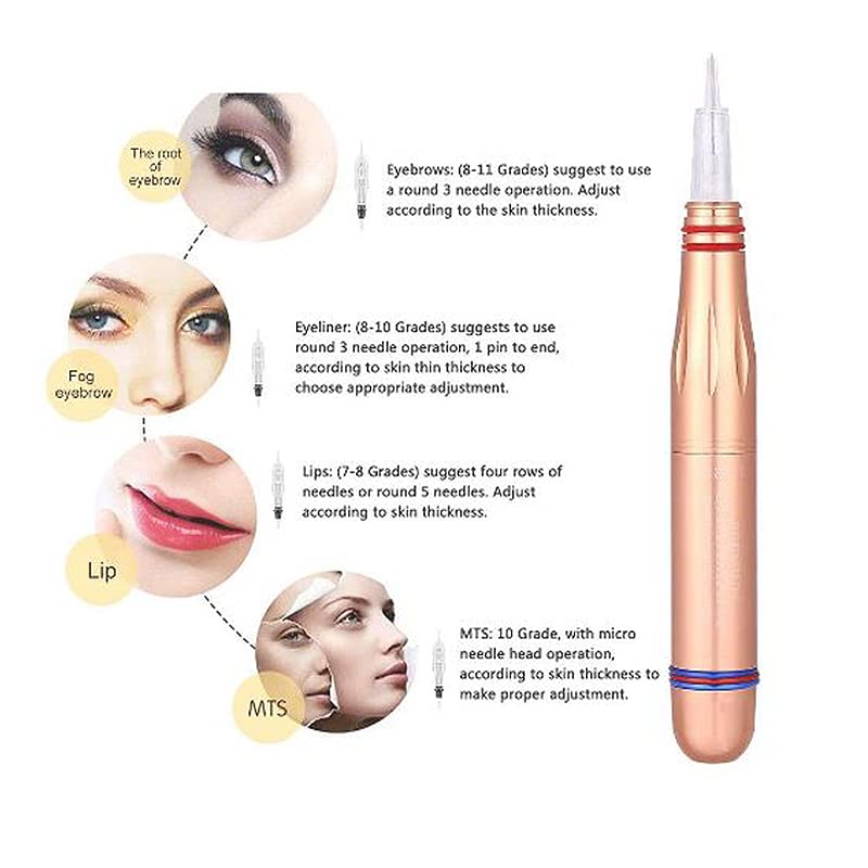 Premium Charmant II Electric Digital Semi-Permanent Makeup Machine - Professional PMU Tattoo Pen Kit for Eyebrows, Lips & Eyeliner | Salon, Beauty Studio & Home Use