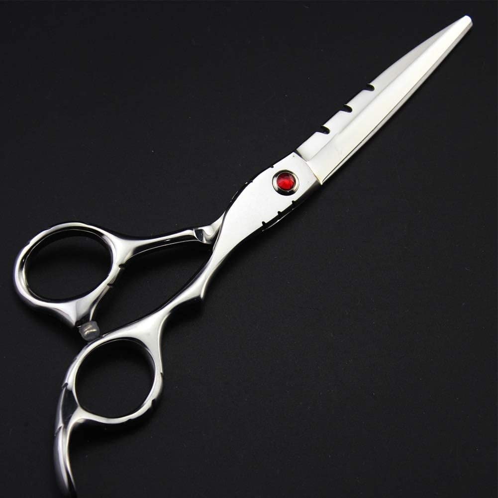 Professional Hair Cutting Scissors 6 Inch - Barber Shears with Case for Styling, Trimming & Thinning - Premium Stainless Steel Hairdressing Scissors for Salon & Home Use (Blue, 6 Inch Set)