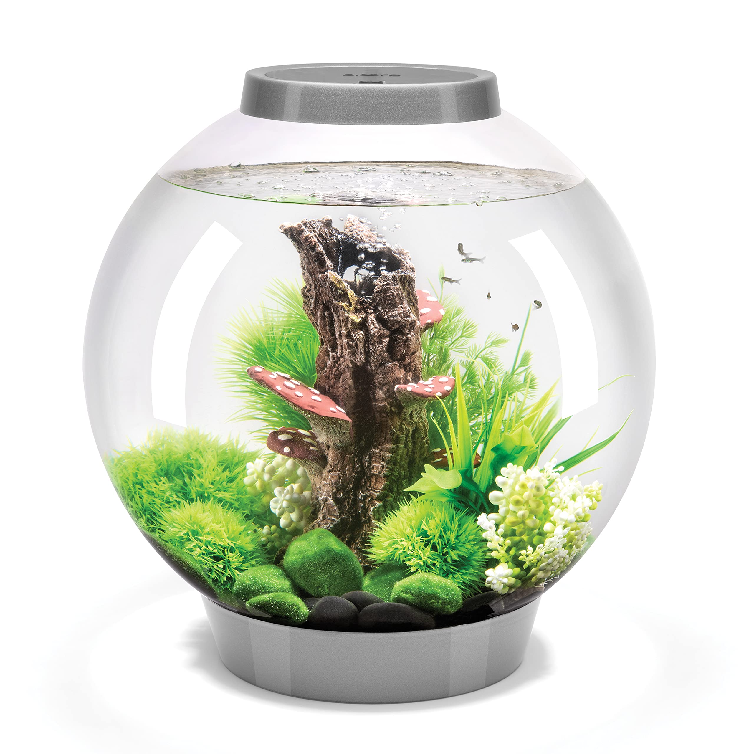 biOrb Classic 30 Acrylic 8-Gallon Aquarium with White LED Lights - Modern Silver Fish Tank for Tabletop Display | Perfect for Home, Office Decor & Small Space Aquascaping