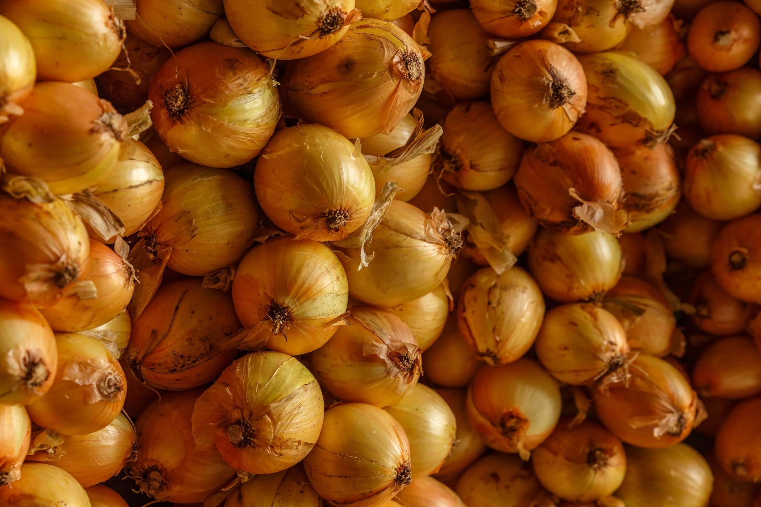 Organic Fresh Yellow Onions by RawJoy Farms - Sweet & Crisp for Salads, Soups, and Cooking - Non-GMO, Farm Fresh, Bulk Onions for Home & Restaurant Use