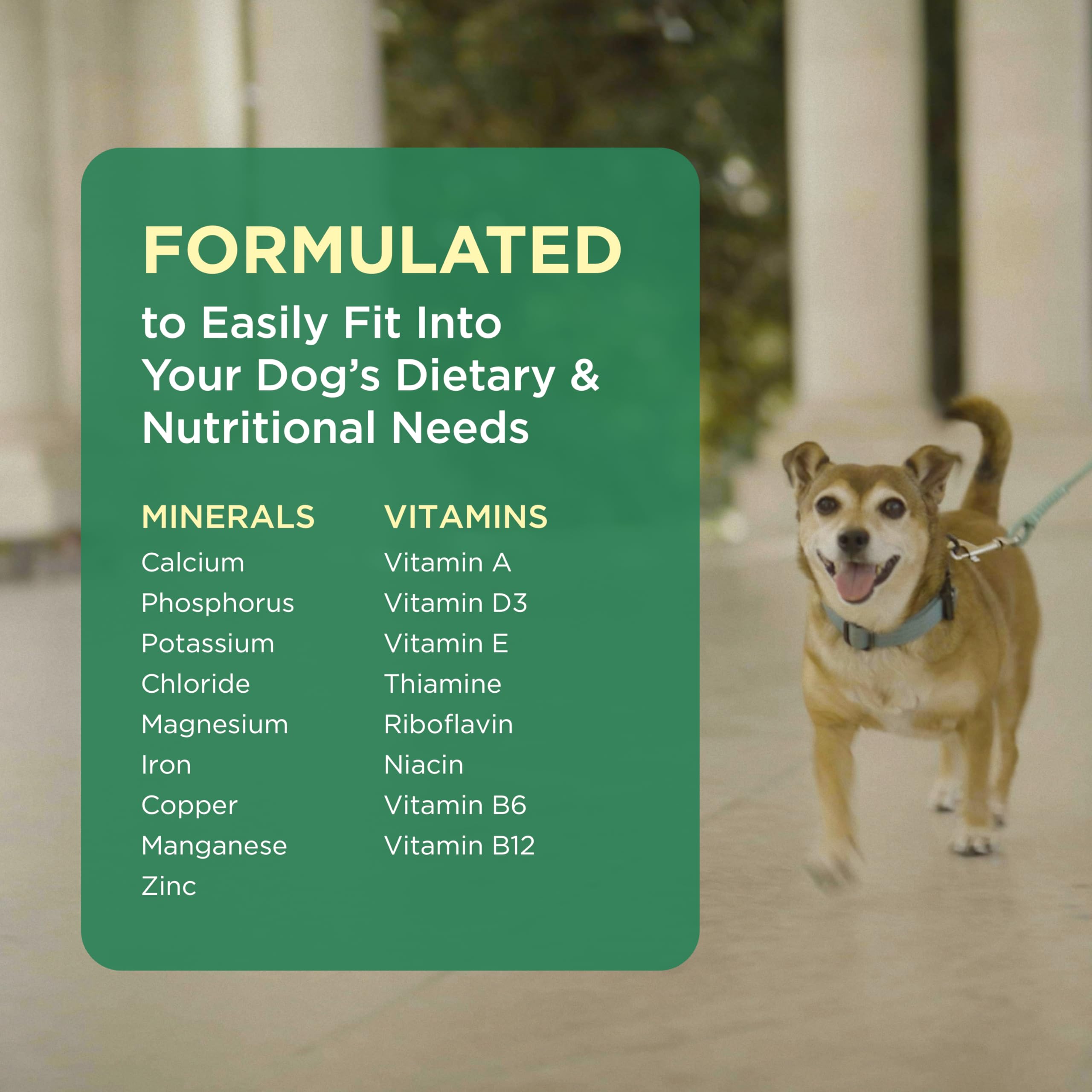 Pet-Tabs Multivitamin & Mineral Chewable Supplement for Dogs - 180 Count Bottle | Supports Immune Health, Skin & Coat, Joint Care | Perfect for Daily Nutrition & Active Lifestyles