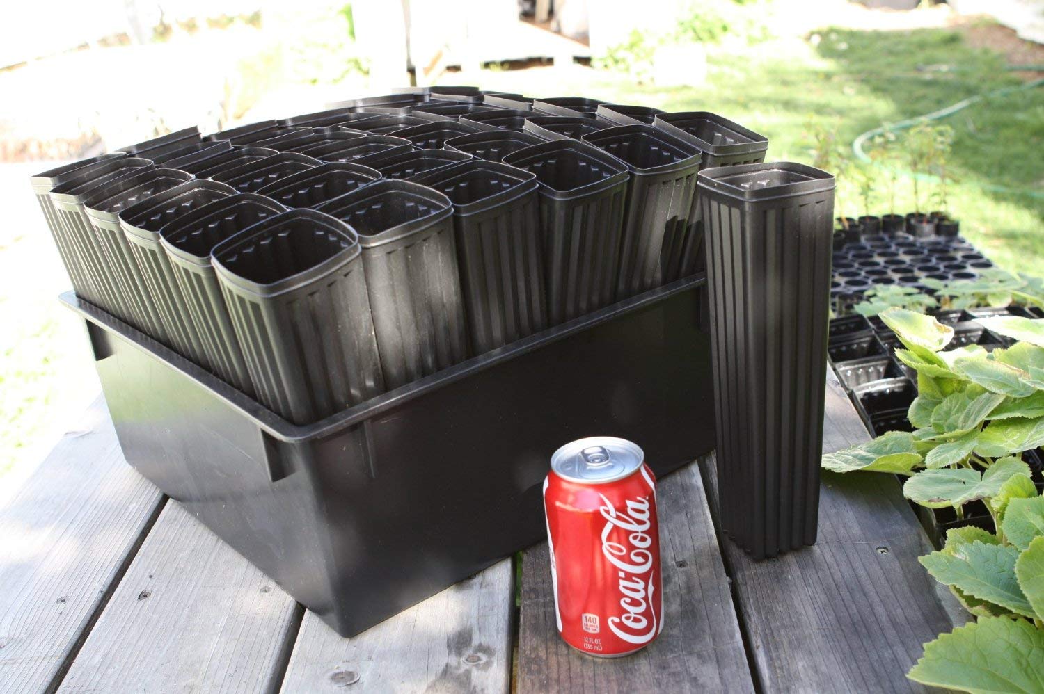 36 Pack 10 Inch Mini Tree Pots with Heavy Duty Drip Tray - Perfect for Seedlings, Succulents, and Indoor Plants - Ideal for Home Gardening and Nursery Use