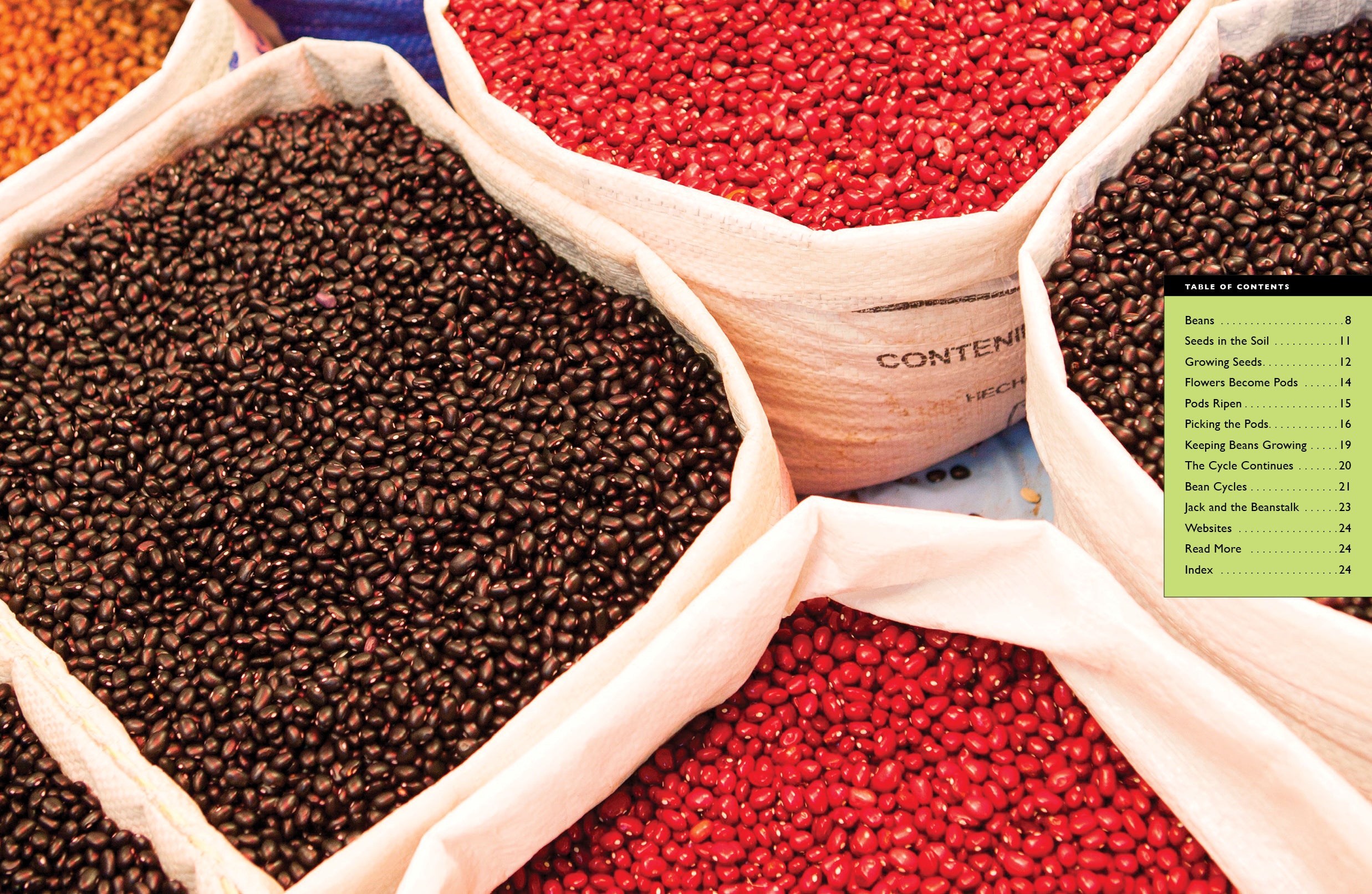 Organic Black Beans 16oz - Non-GMO, Gluten-Free, High Protein - Perfect for Soups, Salads, and Vegan Recipes | 9781640268517