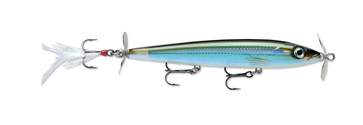 Moss Back Shiner