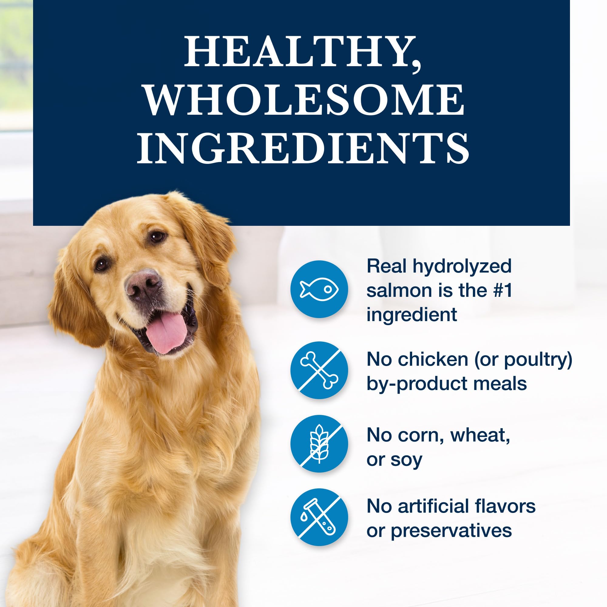 Blue Buffalo Natural Veterinary Diet HF Hydrolyzed Wet Dog Food for Food Intolerance – Salmon Recipe (12.5-oz Cans, Pack of 12) – Vet Prescription Required – Ideal for Dogs with Sensitive Stomachs & Allergies