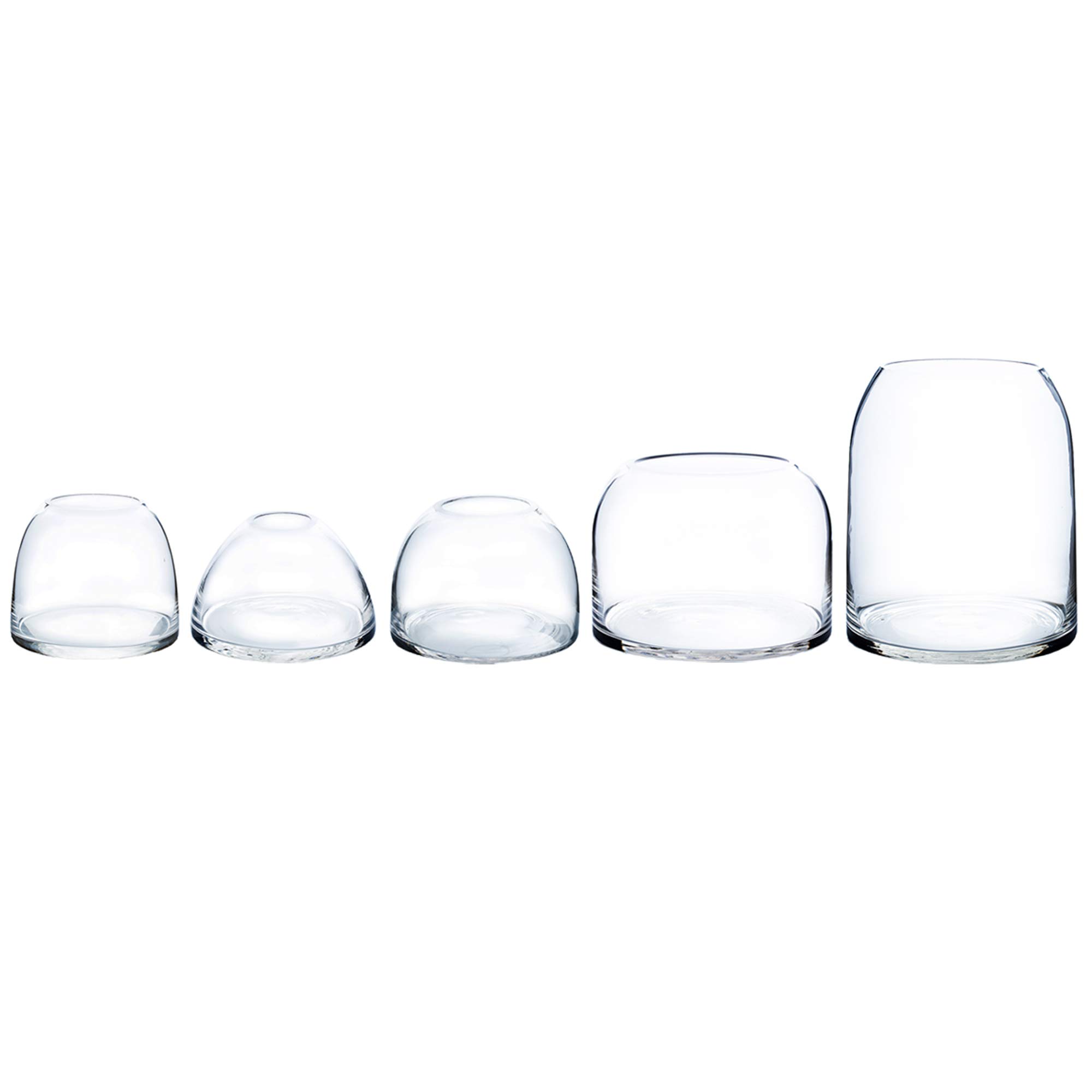 Clear Glass Dome Vase - 7
