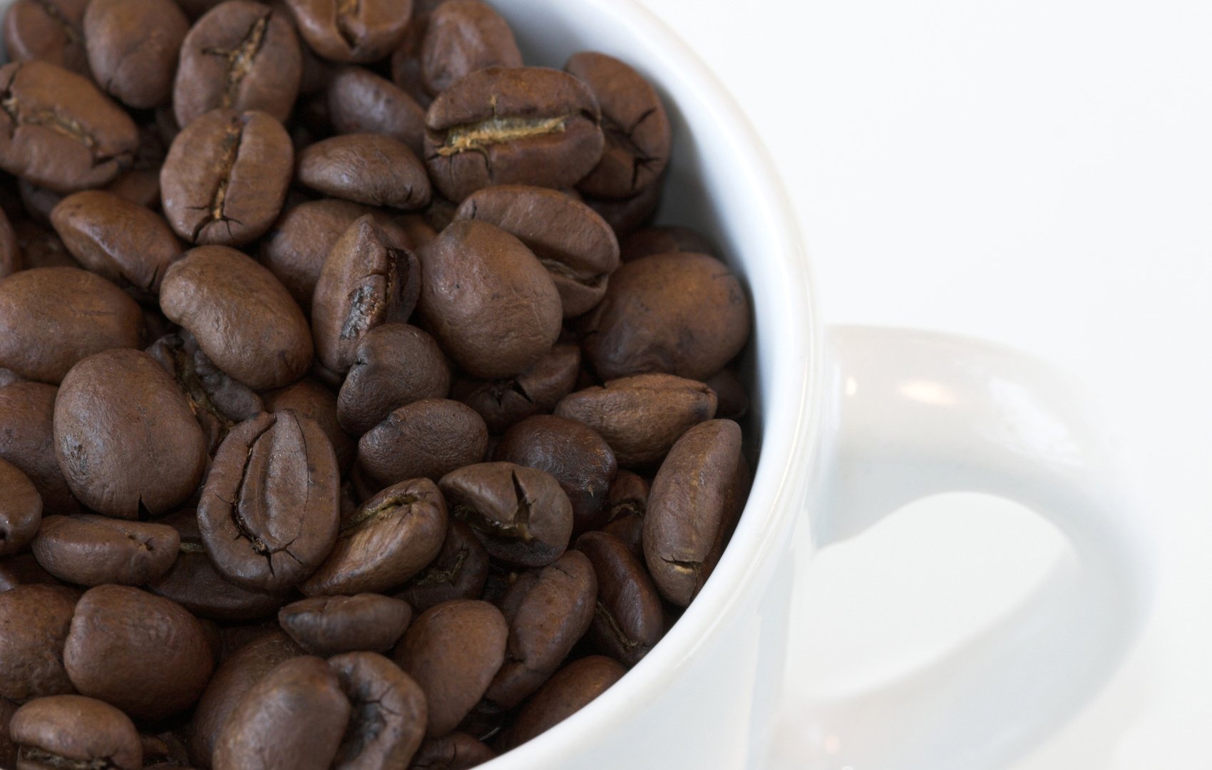 Premium 3 Bean Espresso Blend - Freshly Roasted Gourmet Arabica Coffee Beans (5 lbs) - Perfect for Home Brewing, Cafes & Office Use