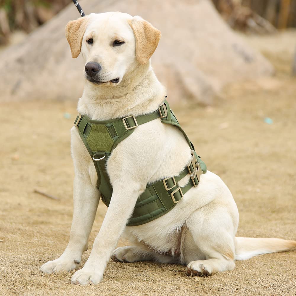 Tactical Dog Harness for Large & Medium Dogs - No Pull Military Vest with MOLLE Panel & Handle - Service Dog Gear for Hiking, Training, Hunting & Walking (L, Green) - Perfect for Outdoor Adventures & Working Dogs