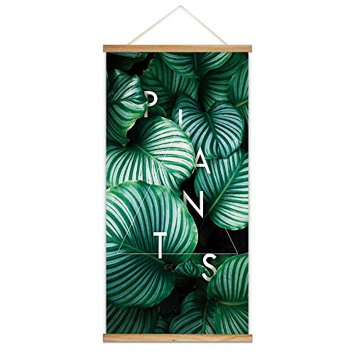 Plants-03