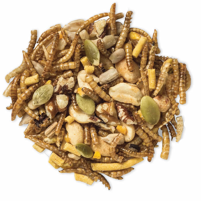 Premium Duncraft Hi Energy Trail Mix Wild Bird Food - High Protein Nutritious Blend for Wild Birds - Attract Cardinals, Finches & Woodpeckers to Your Backyard Bird Feeder