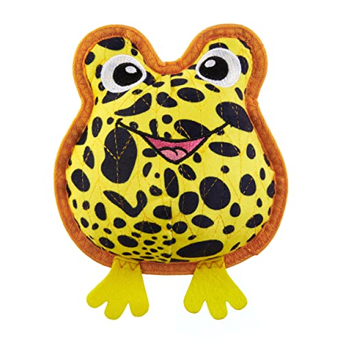 Dart Frog