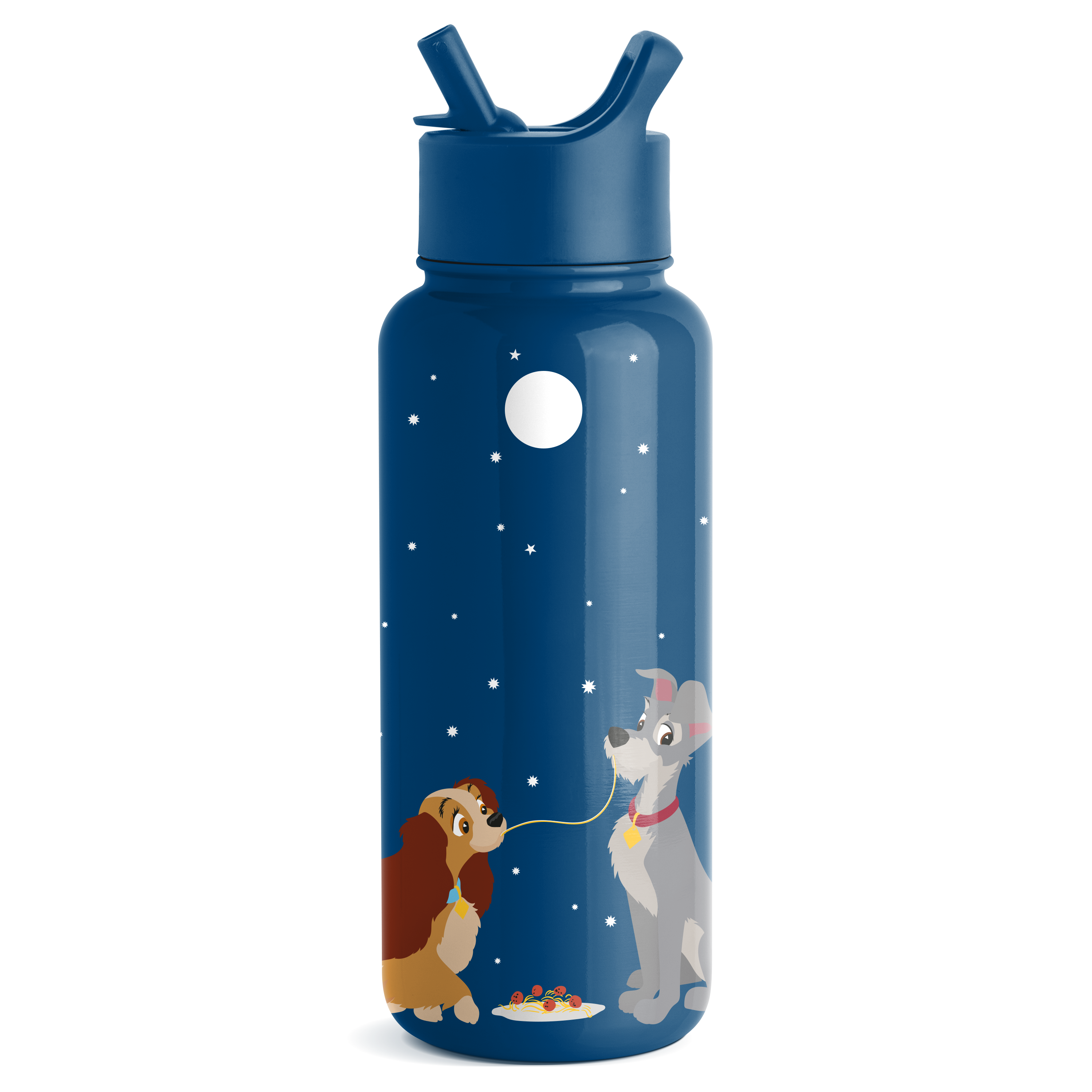 Disney Summit Insulated Water Bottle with Straw Lid - Leakproof Stainless Steel Thermos for Kids & Adults - Perfect for School, Gym, Hiking & Outdoor Activities