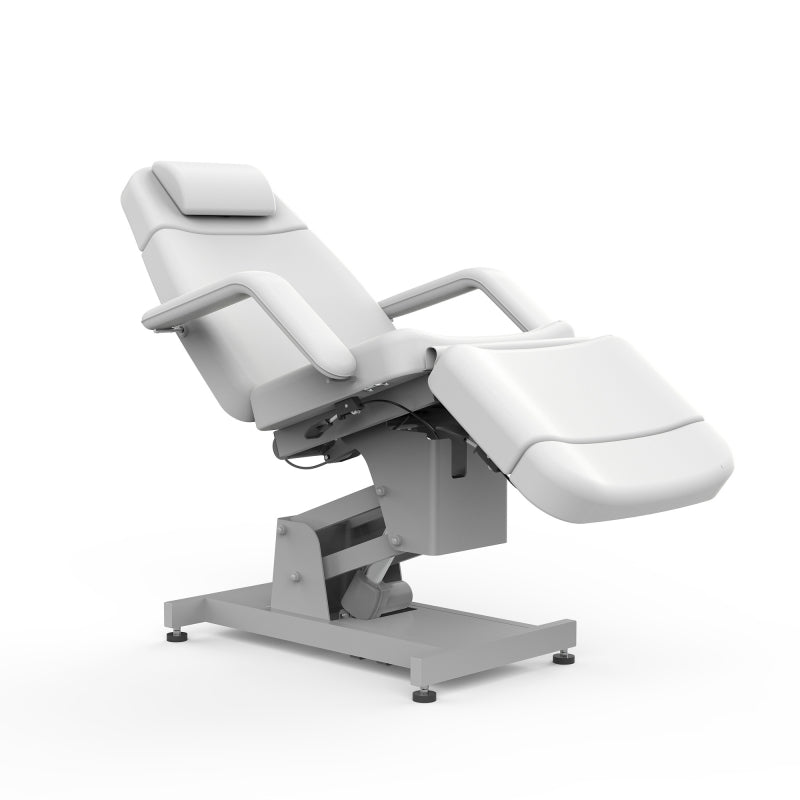 Silverfox 2 Motors Electric Facial Spa Bed Chair 2219B - Professional Massage Table for Salon & Spa, Adjustable Reclining Beauty Bed with Dual Motors - Perfect for Facial Treatments, Massage Therapy, and Skin Care Procedures