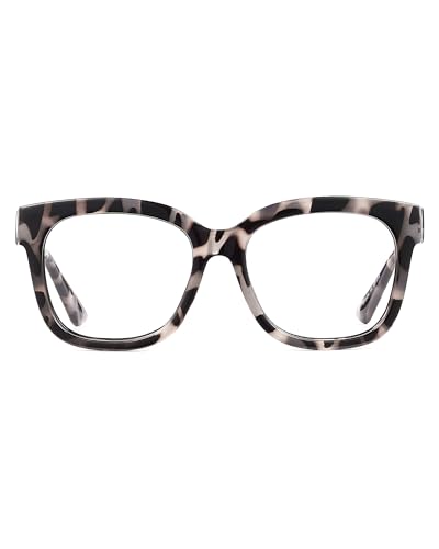 #Grey Tortoise