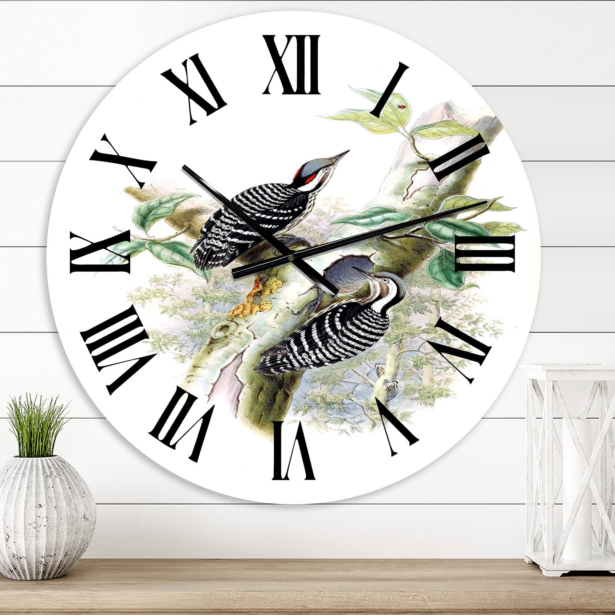 Vintage Birds in The Wild Wall Clock - Large Traditional Design for Office & Home Decor | Perfect for Living Room, Bedroom, Kitchen & Workspace