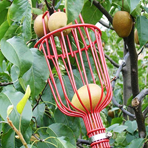 **Melitt Outdoor Deep Basket Garden Tool - Heavy Duty Metal Fruit Picker & Catcher for Harvesting Apples, Peaches, Pears - Perfect for Orchard, Farm, and Home Garden Use**