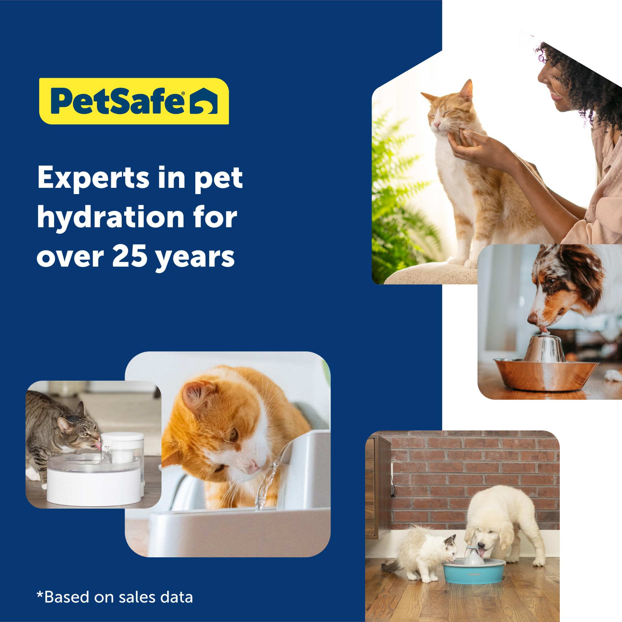 PetSafe ScoopFree Crystal Cat Litter & Refill Tray - Lavender Scented, 4.3 Lb (Pack of 6) | Self-Cleaning Litter Box System | Low-Maintenance Solution for Busy Cat Owners | Perfect for Multi-Cat Homes & Small Spaces