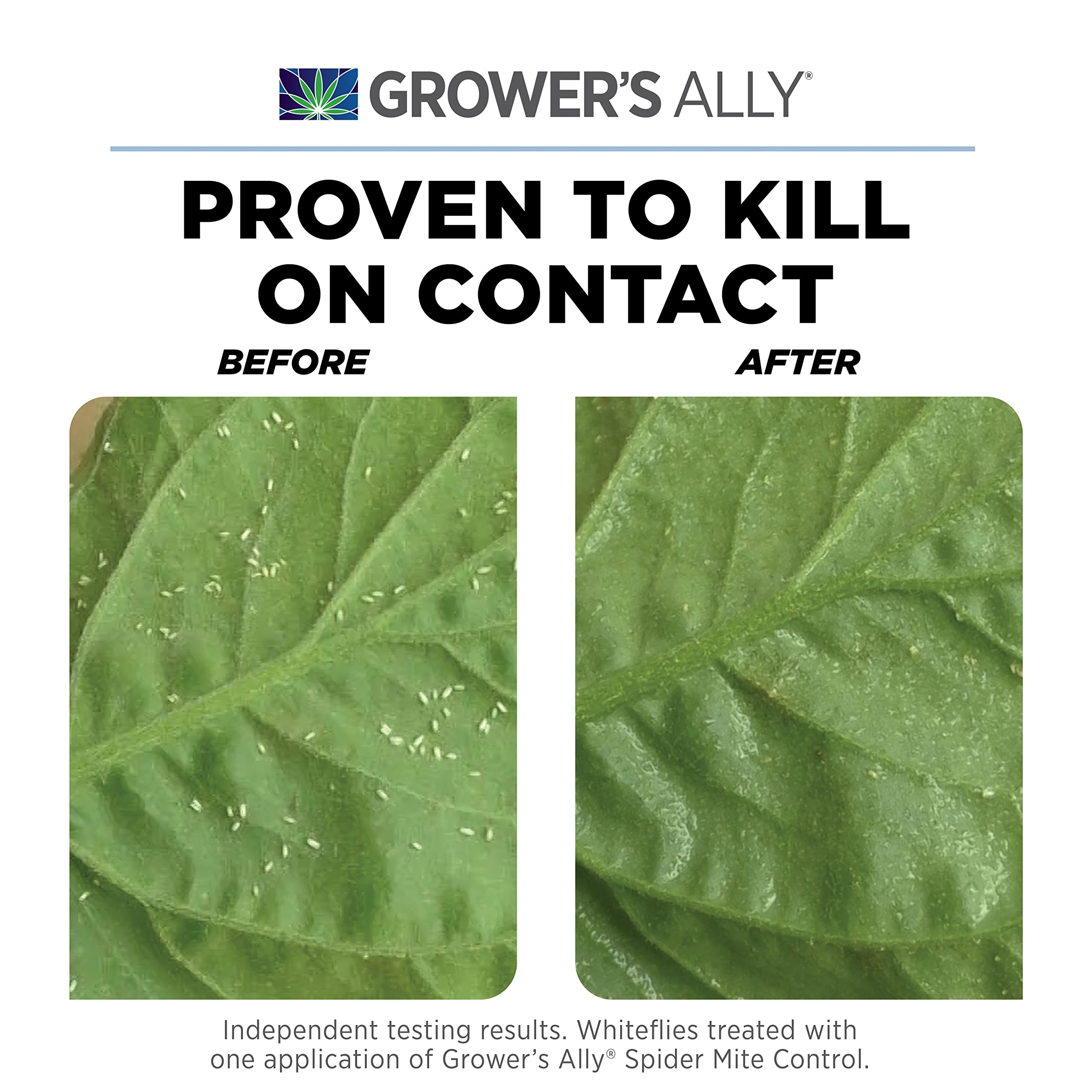 Grower's Ally Natural Spider Mite & Insect Killer Concentrate 1 qt with Rosemary Oil | Indoor & Outdoor Plant Protection | Makes 100 Gallons | Organic Pest Control for Gardens, Greenhouses & Hydroponics