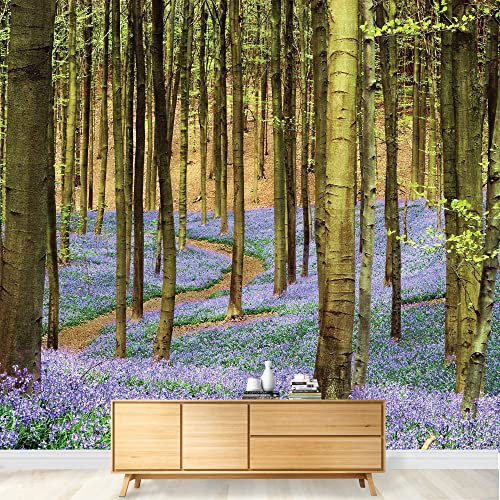 Forest of Bluebell Flowers
