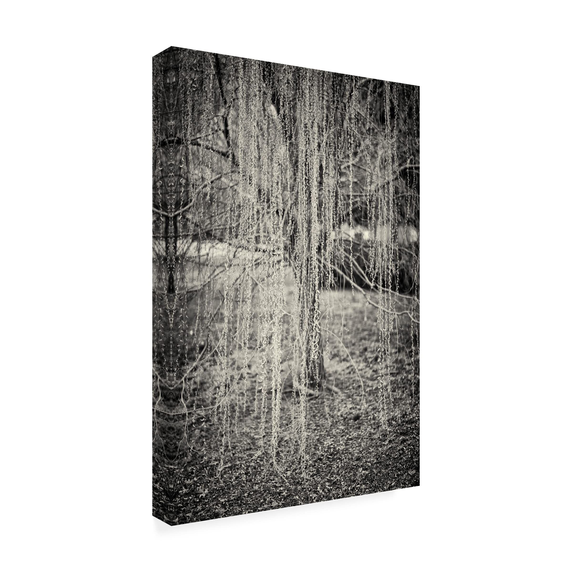 Trademark Fine Art 'Ides of March' by Geoffrey Ansel Agrons - 16x24 Inch Canvas Wall Art - Perfect for Home Decor, Office, and Living Room
