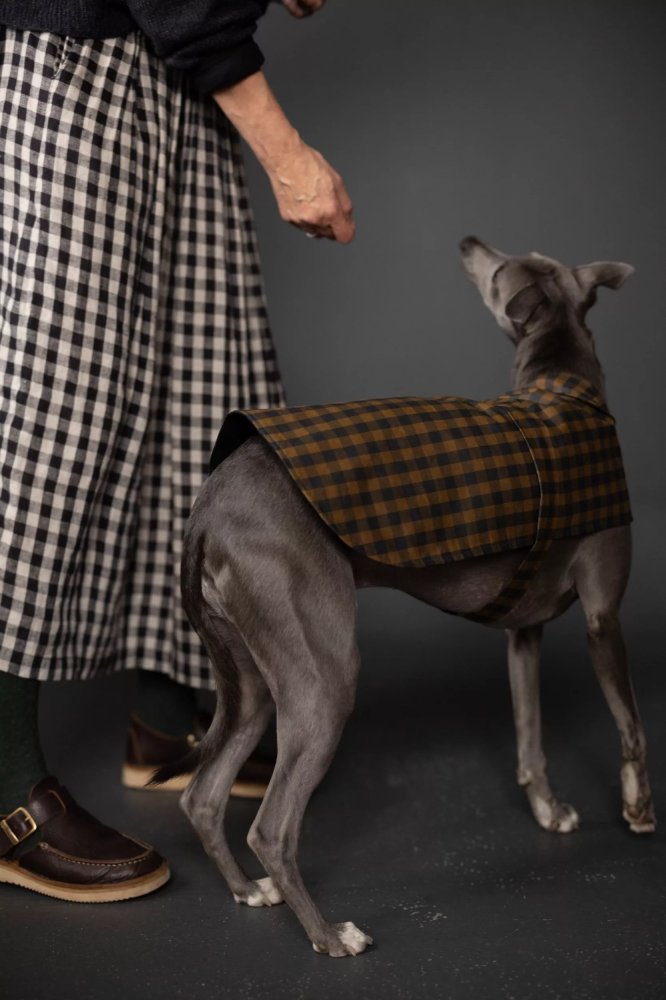 Stylish Barka Dog Coat - Waterproof & Warm Winter Jacket for Small to Large Dogs - Perfect for Outdoor Walks & Cold Weather Adventures