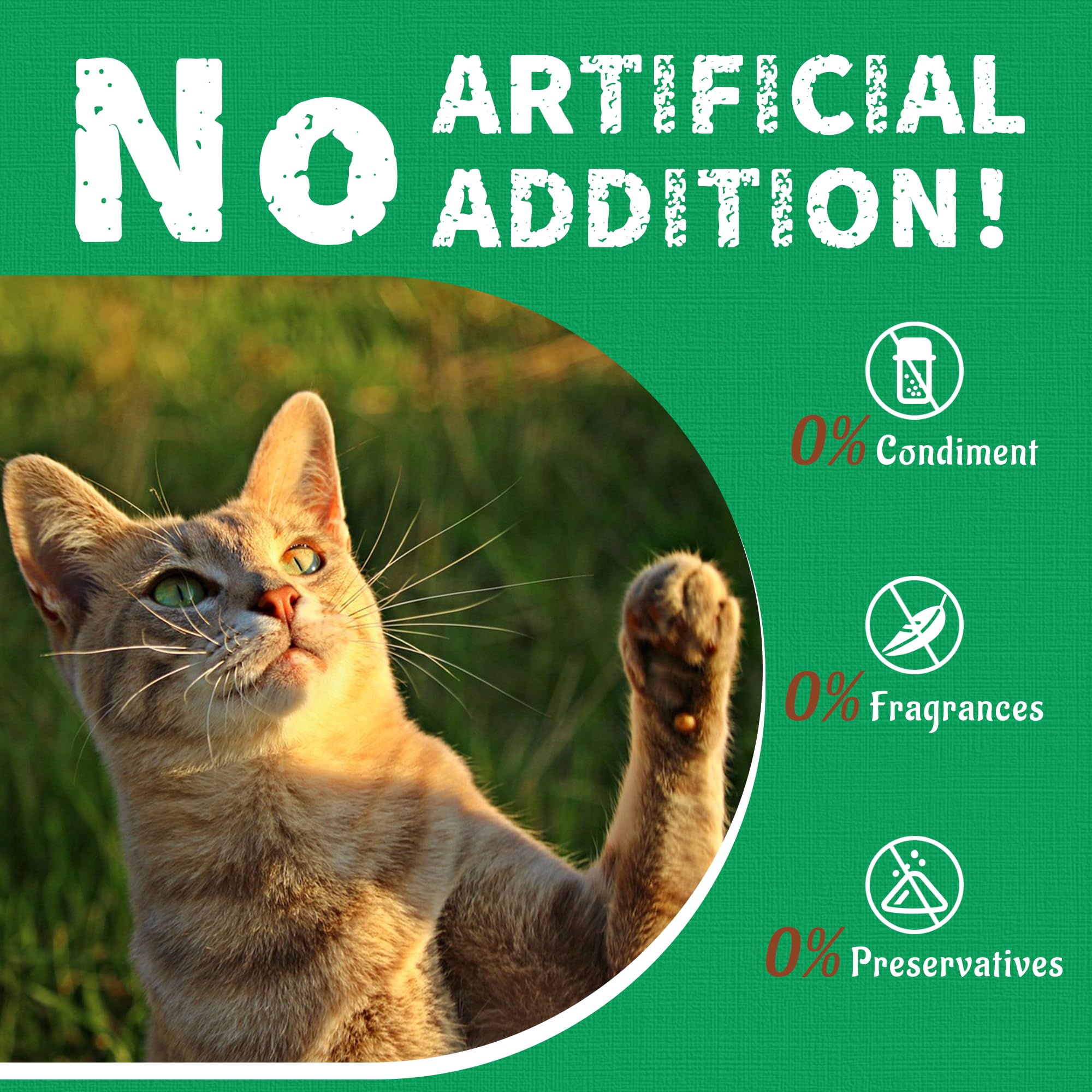 13.4 OZ Cat Treats with Catnip - Healthy Natural Chicken Flavor Snacks for Cats | Training Biscuits, Dental Care & Hairball Control | Perfect for Rewards, Playtime & Bonding