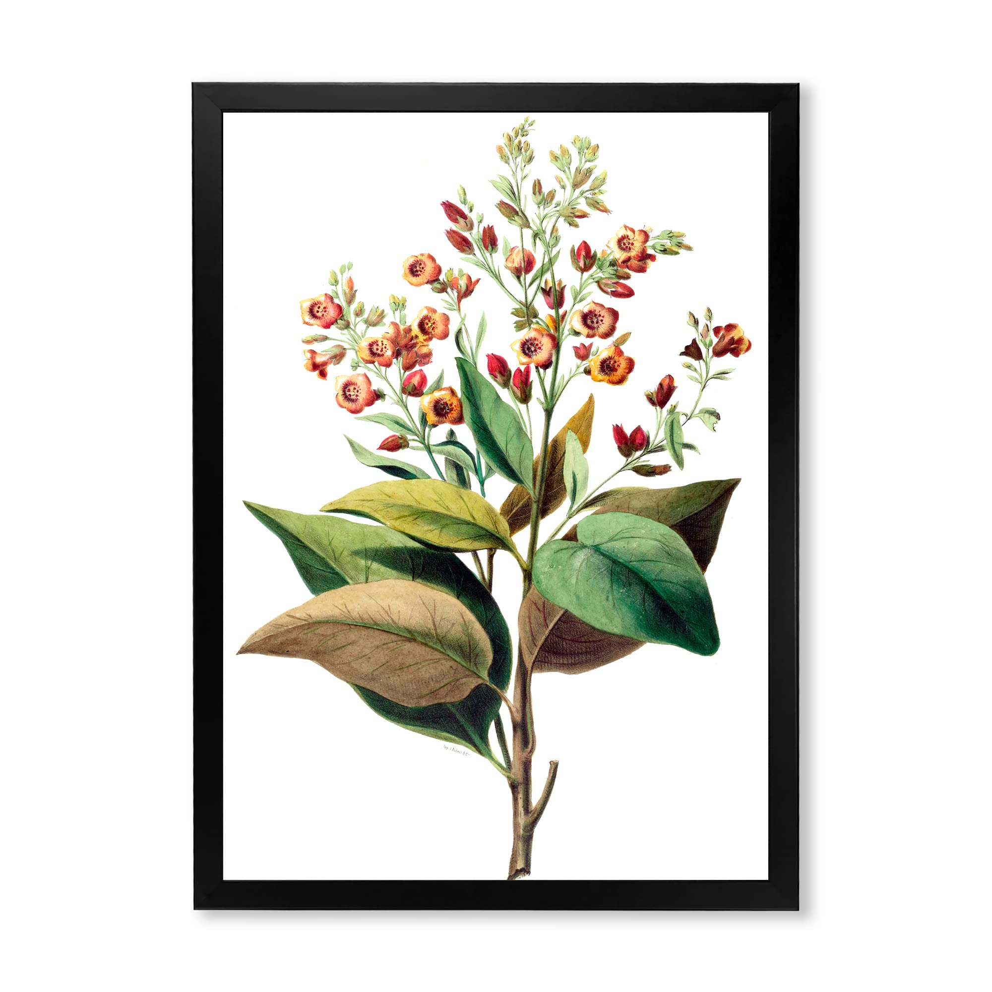 Vintage American Flowers II Framed Wall Art - Traditional Home Decor for Living Room, Bedroom & Office