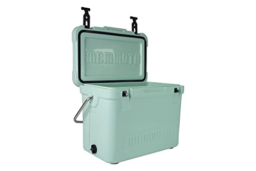 Seafoam Green