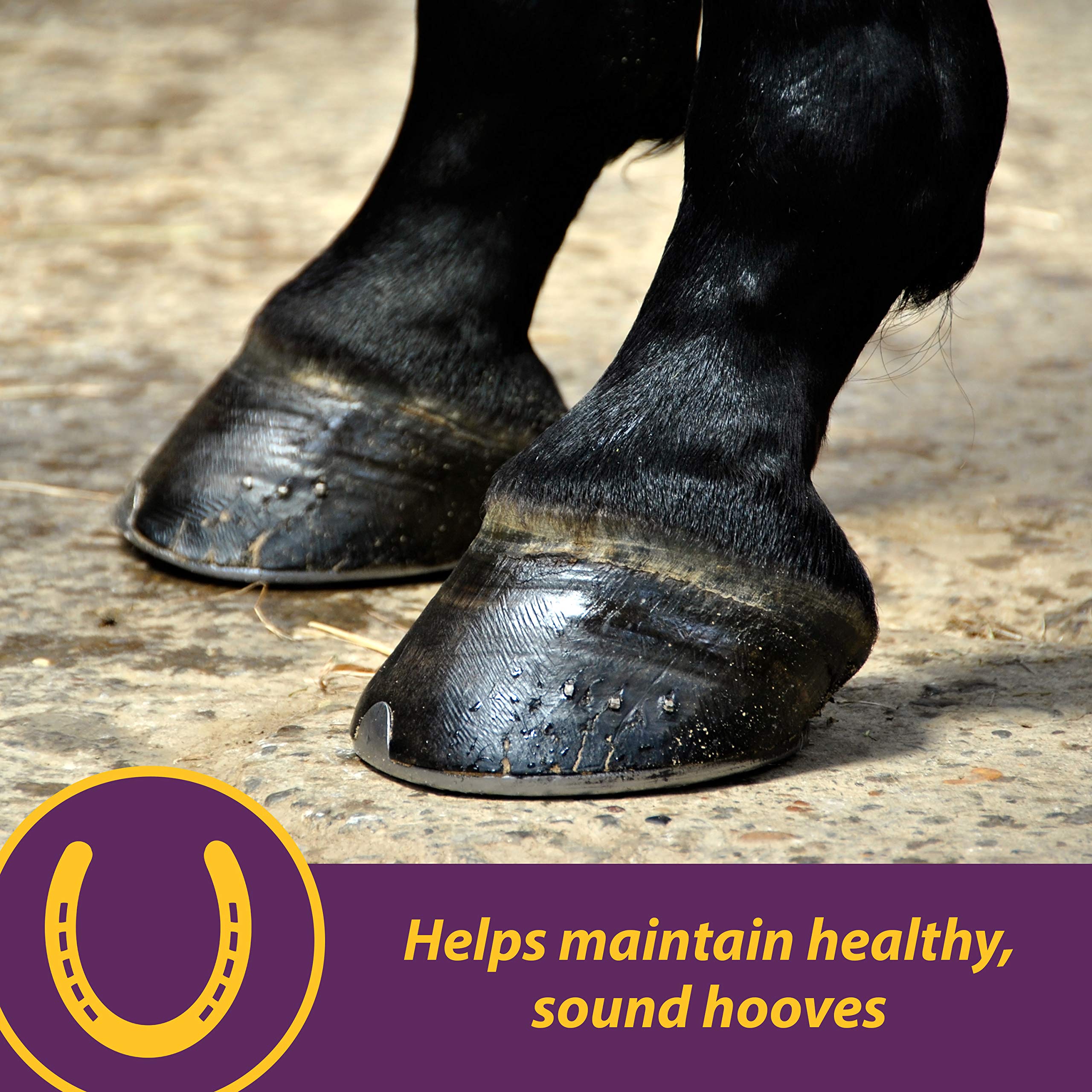 Farnam Horse Health Vita Biotin Crumbles - Premium Hoof Supplement for Strong Hooves & Healthy Growth (20 lbs, 320-Day Supply) | Ideal for Performance Horses, Breeding Mares & Equine Hoof Care