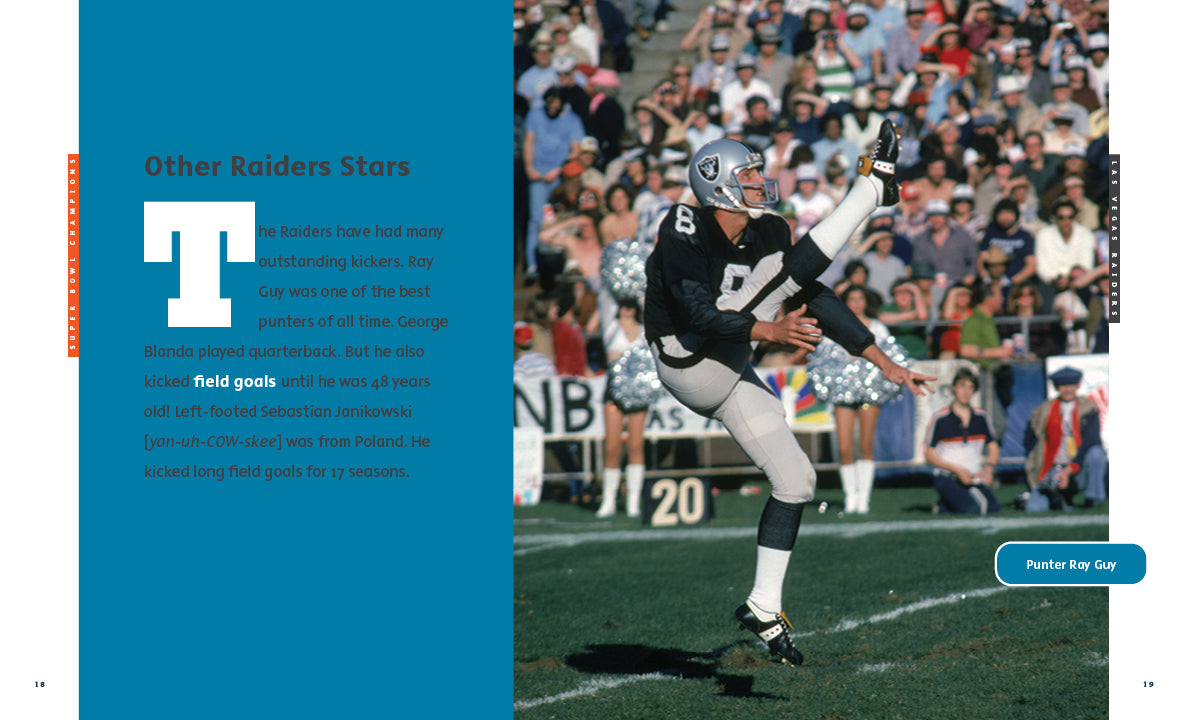 Las Vegas Raiders Official NFL Merchandise - Jerseys, Hats & Fan Gear for Football Games & Tailgating
