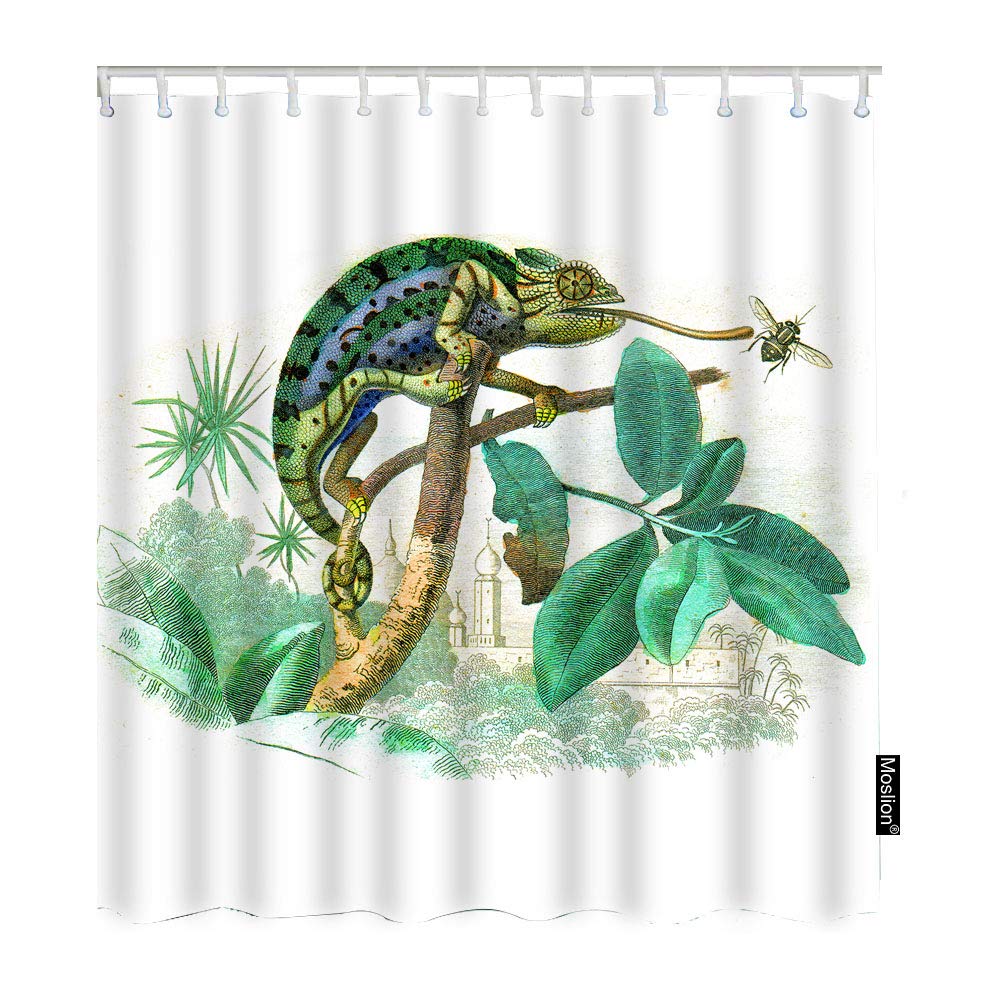 Waterproof Chameleon Shower Curtain - 72x72 Inch Green Lizard Eating Bugs Design with Tree Leaves & Grass - Long Polyester Fabric Bathroom Decor with Hooks | Perfect for Jungle Theme, Kids' Bathroom & Nature-Inspired Home Decor