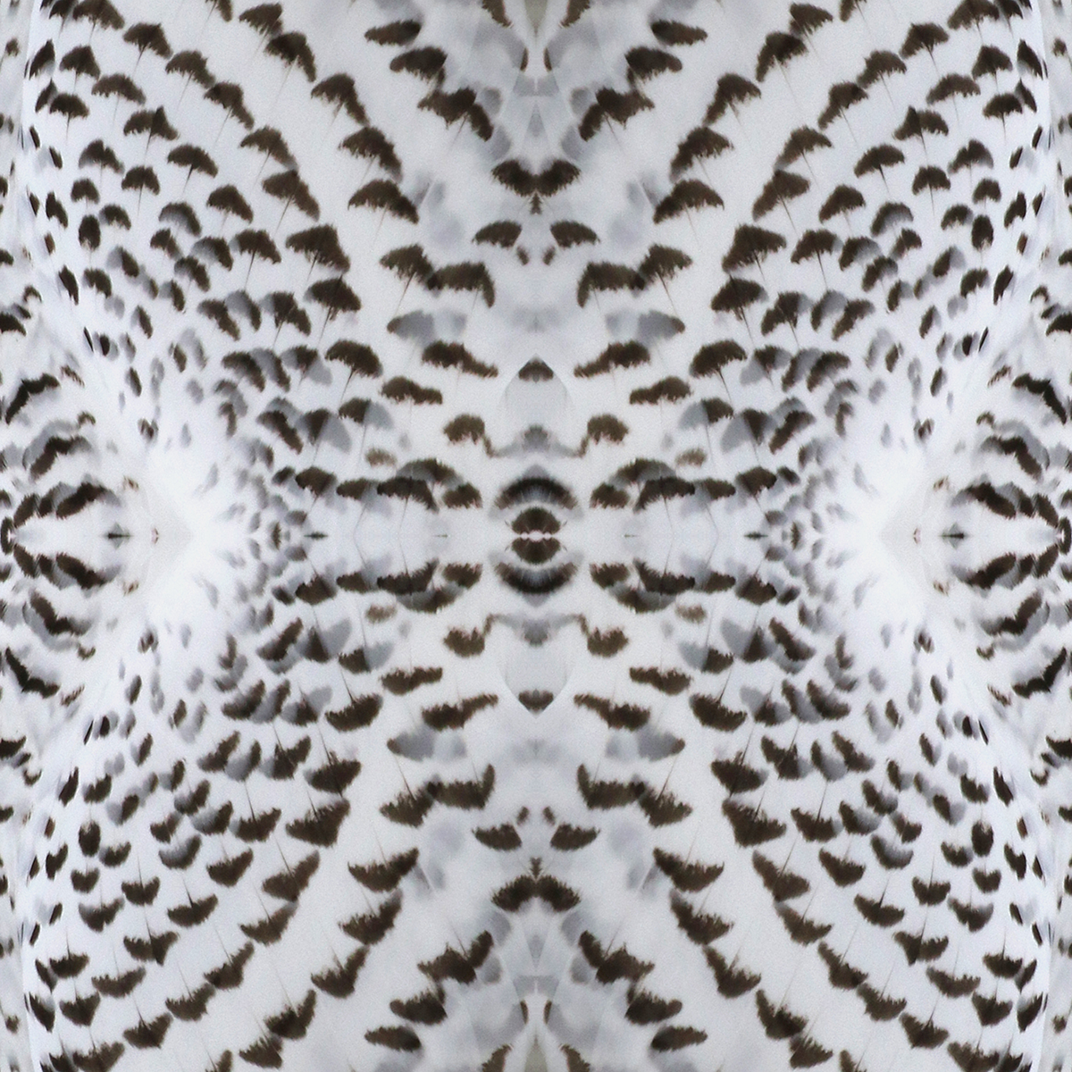 Plume Silent Hunter Wallpaper - Premium Camouflage Design for Home & Office Decor | Perfect for Hunting Lodges, Man Caves, and Outdoor Enthusiasts