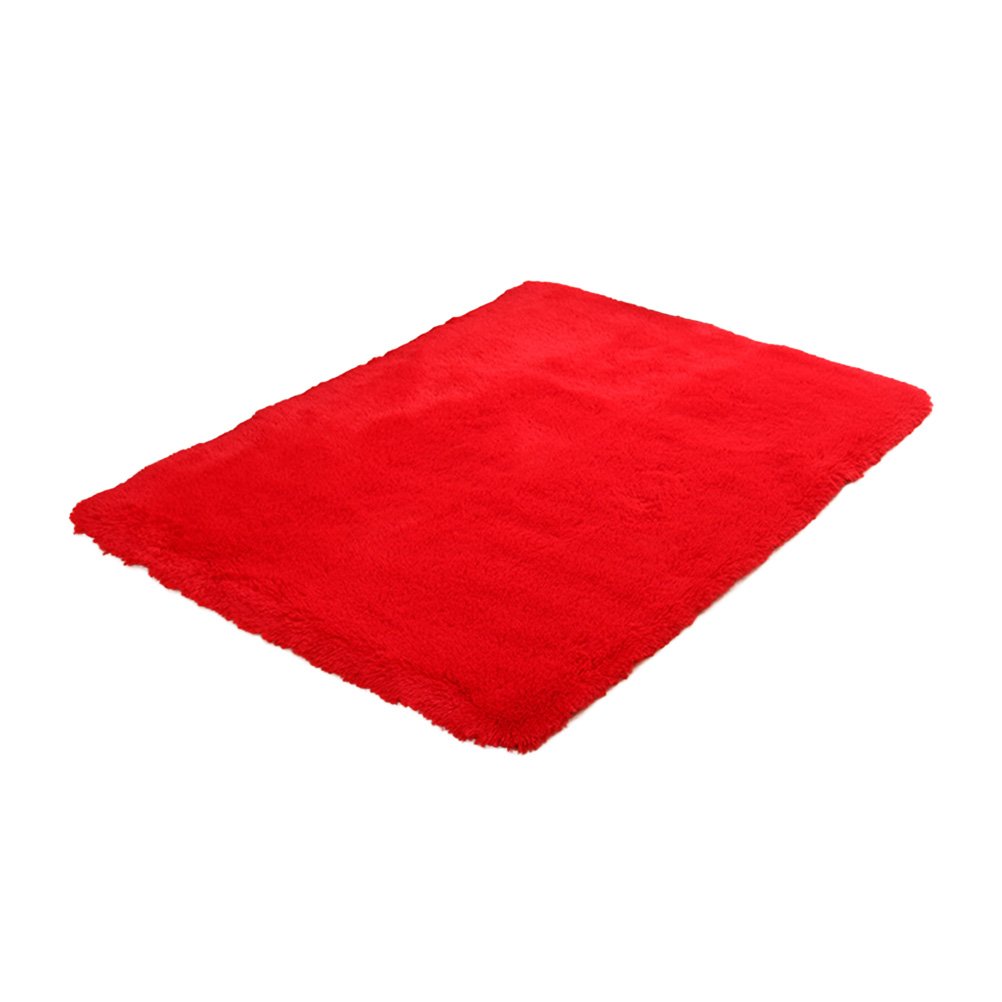 WINOMO Soft Modern Area Rug for Living Room, Bedroom - Non-Slip Floor Mat Carpet 16x24 Inches (Red) - Perfect for Home Decor, Dorm Room, Office & Nursery