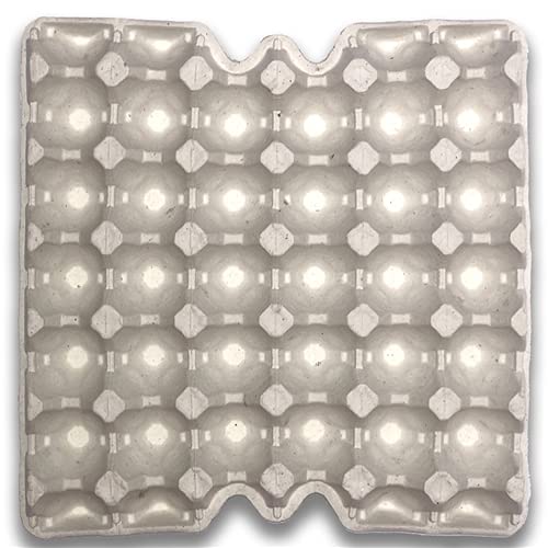 Extra Thick 30-Cell Paper Egg Tray - 300 Pack Bulk | Eco-Friendly Egg Cartons for Farmers Markets, Grocery Stores & Home Chicken Coops