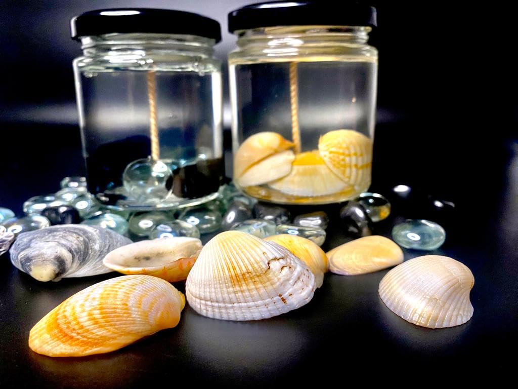 Mirage Scented Gel Candles - Shell Design with Bubblegum Fragrance, 200ml Clear Gel Wax Candle (75+ Burning Hours) | Includes Potli Bag & Free Sample | Perfect for Home Decor, Relaxation & Gift Giving