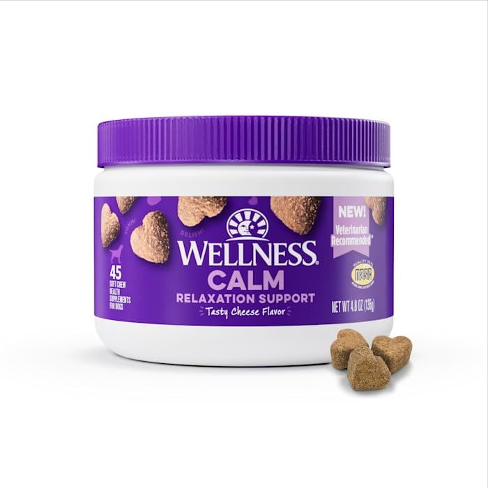 Premium Wellness Tasty Cheese Flavored Soft Chews - Calming Anxiety Supplements for Dogs with Natural Ingredients (45 Count) - Perfect for Travel, Vet Visits & Storm Anxiety Relief