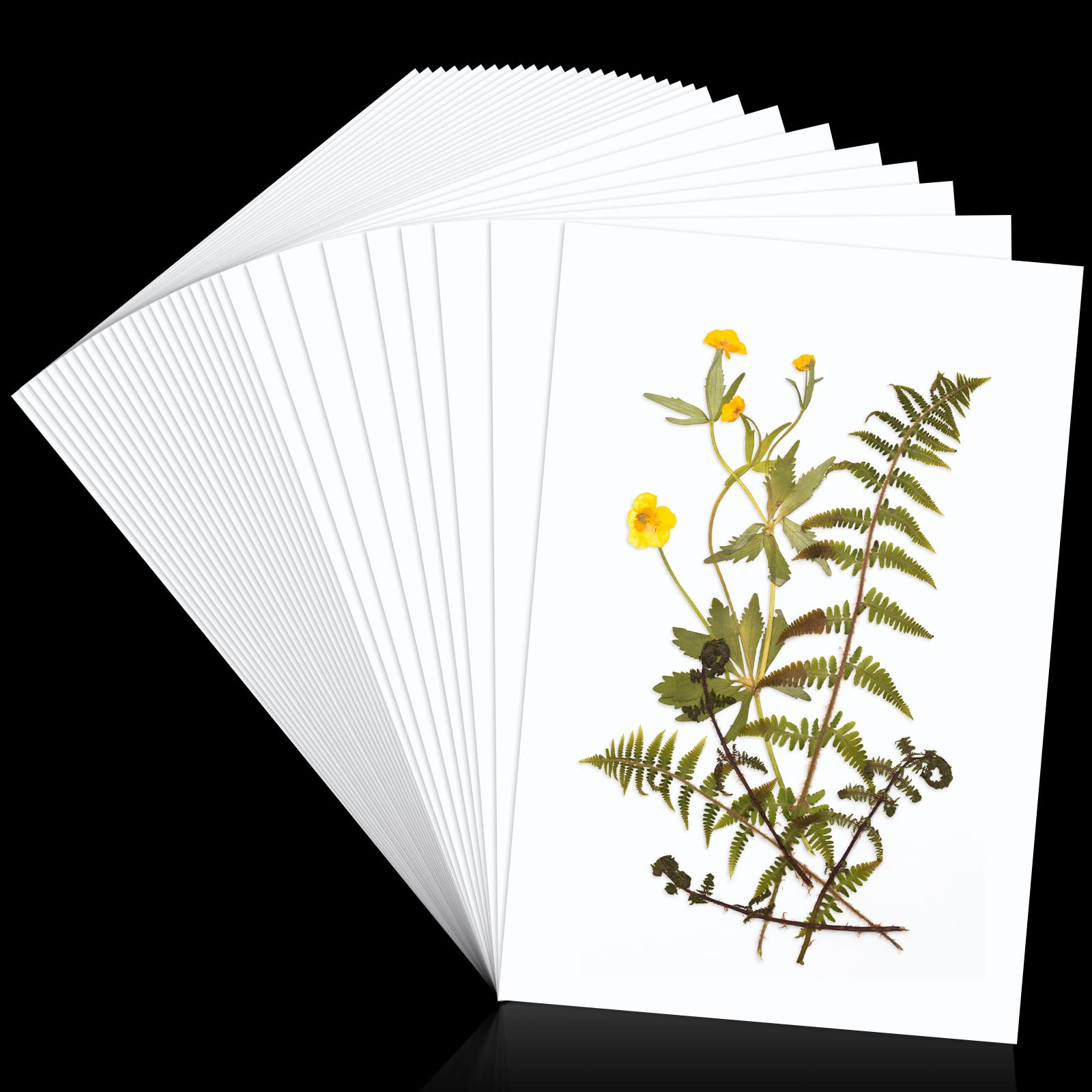 30 Pcs A4 Flower Press Paper - Large 11.81 x 7.87 Inch Highly Absorbent Blotting Paper for Flower Pressing, Art Crafts, Scrapbooking | Reusable & Eco-Friendly | Perfect for DIY Projects, Botanical Art, and Nature Preservation