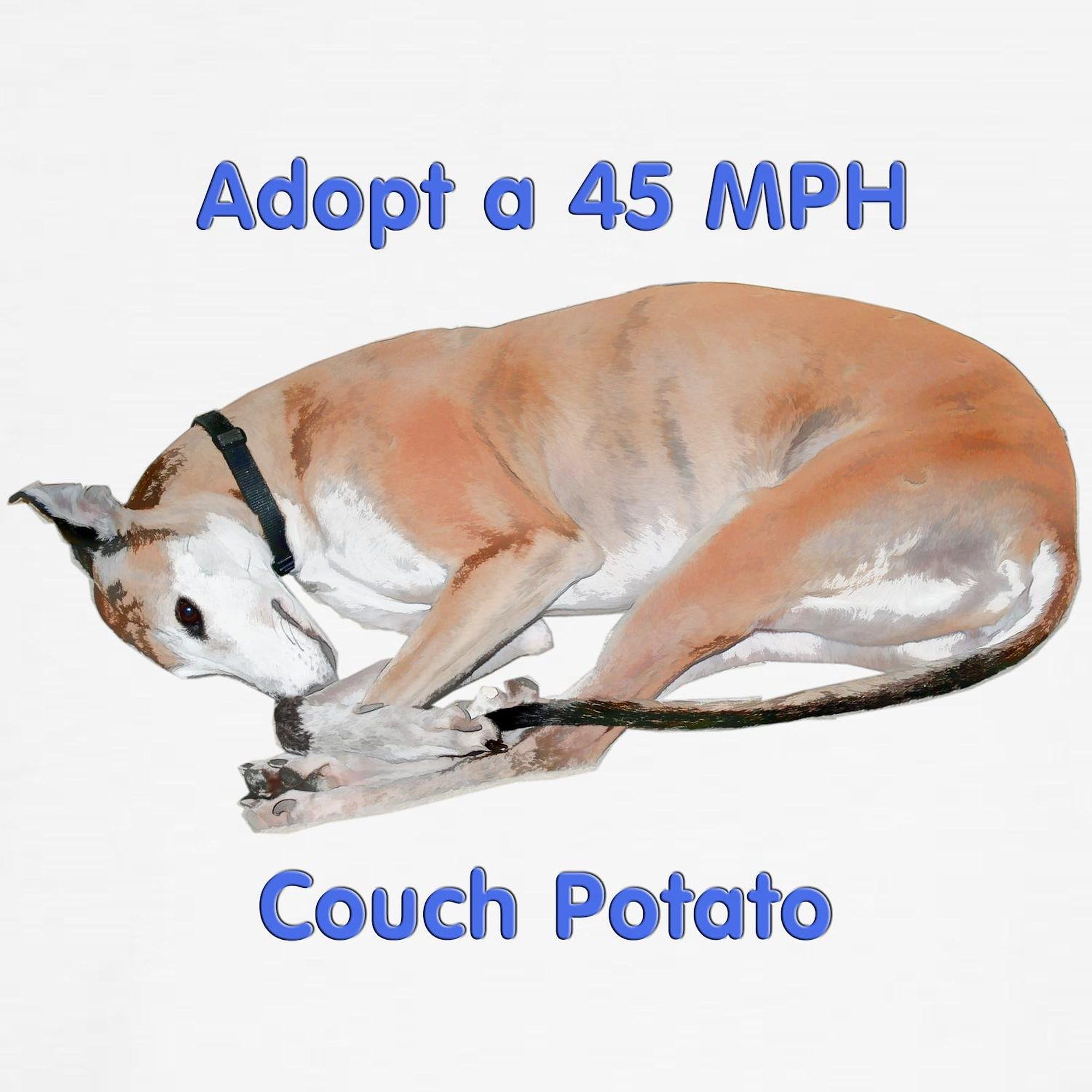 45 MPH Couch Potato Dog T-Shirt - Funny Pet Costume & Apparel for Small Medium Large Dogs - Perfect for Halloween, Parties & Photo Shoots