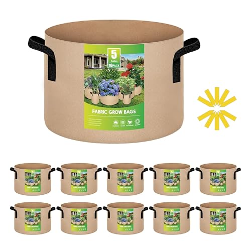 10-pack Tan