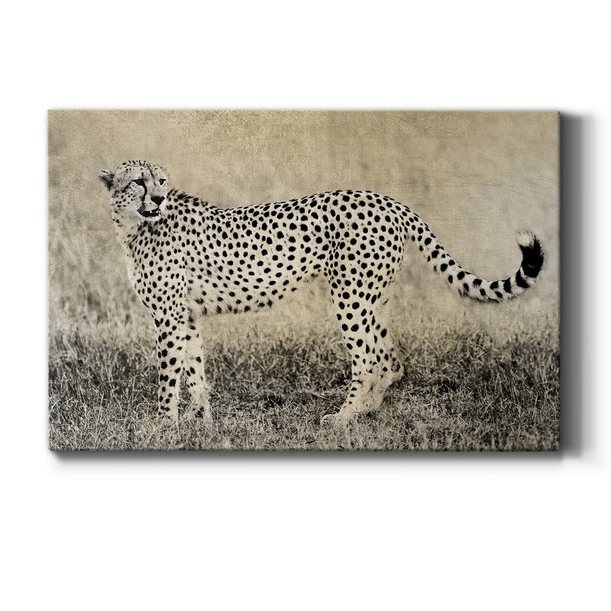 Camouflage Cheetah Canvas Wall Art - Modern Animal Print Picture for Living Room, Bedroom, Bathroom & Kitchen Decor - Ready to Hang Home Décor (8x12 Inches) - Perfect for Jungle Theme, Safari Nursery or Contemporary Interior Design