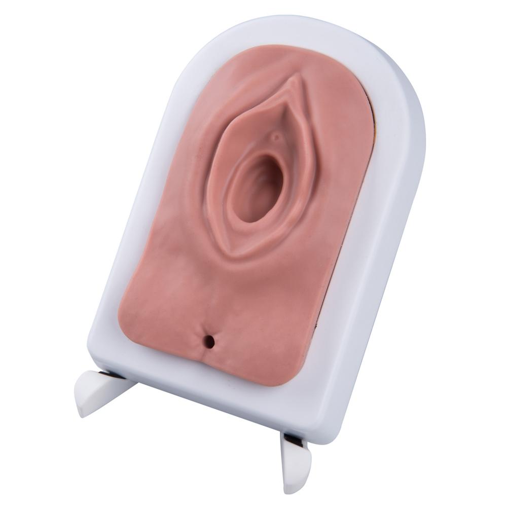 Episiotomy and Suturing Simulator with Realistic Lighting - Medical Training Model for OBGYN Students & Midwives - Perfect for Clinical Practice & Surgical Skills Development