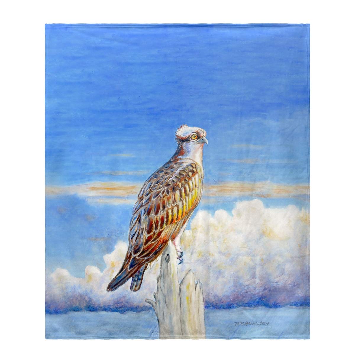 Betsy Drake Osprey Storm Fleece Throw Blanket - Ultra Soft & Warm Reversible Plush Fleece Blanket for Couch, Bed, Sofa - Perfect for Cozy Nights, Movie Time & Winter Comfort