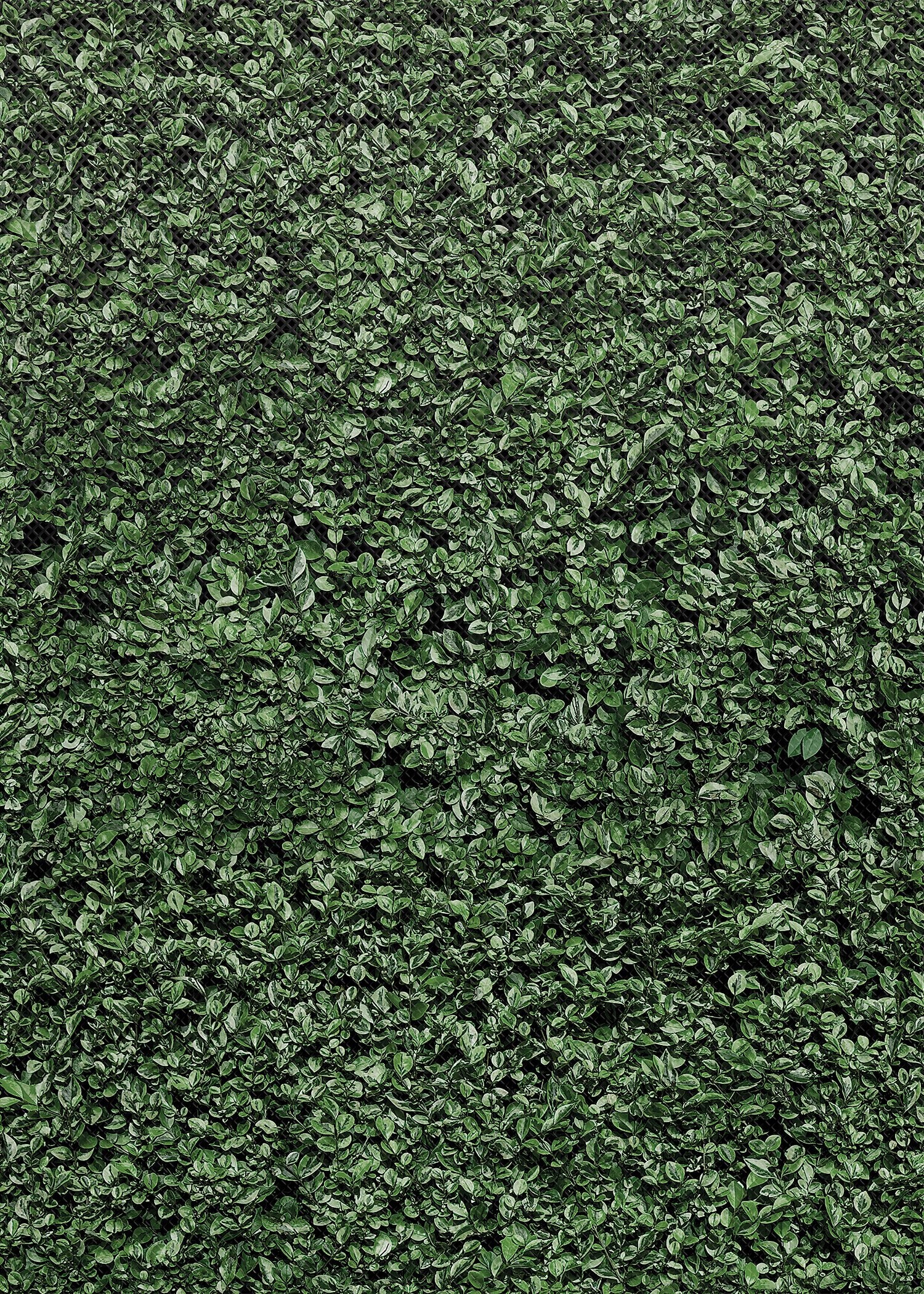 Premium Boxwood Bulletin Board Roll - Realistic Artificial Greenery for Classroom, Office & Home Decor - 4ft x 8ft Faux Hedge Backdrop for Events & Parties