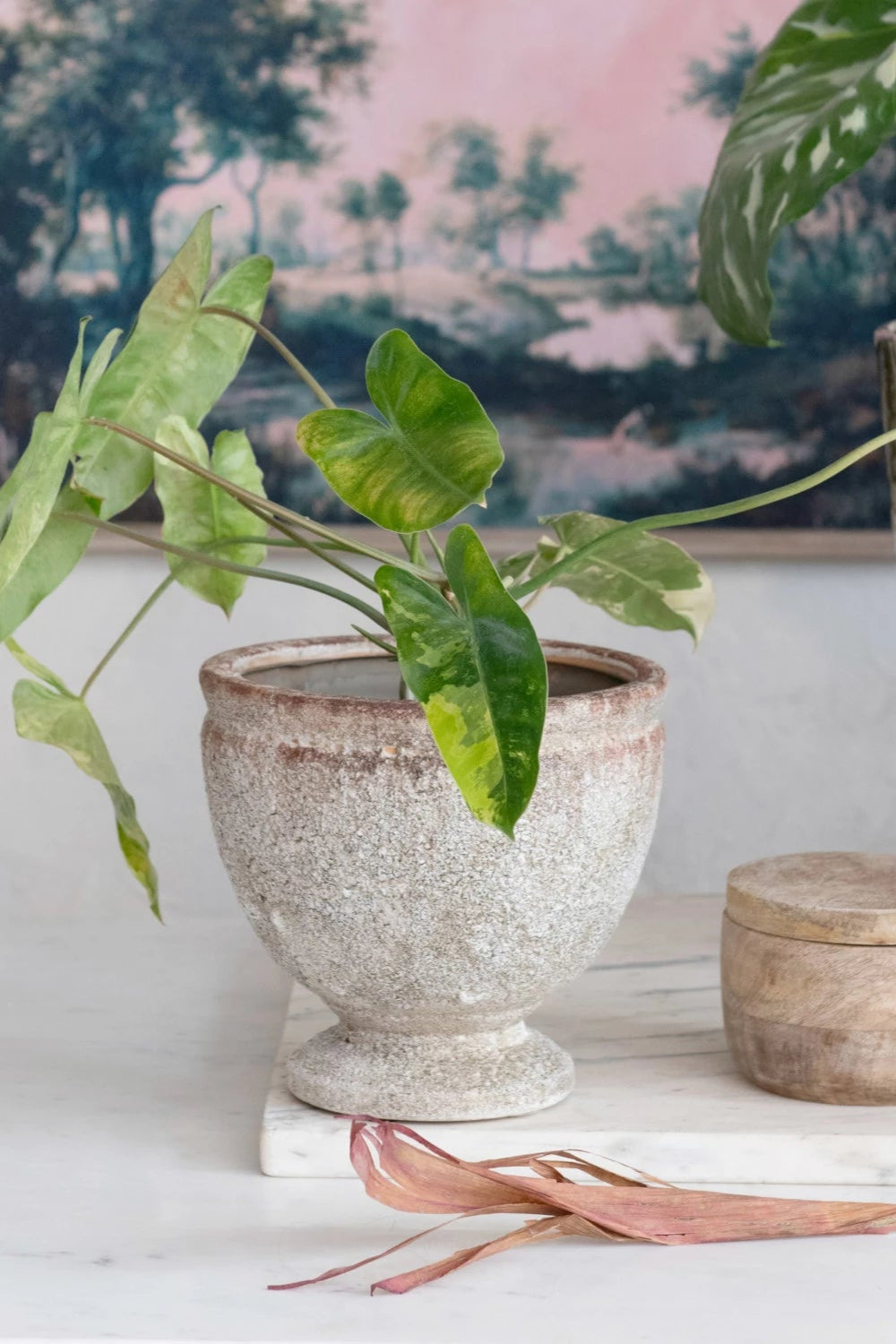 Secret Garden Elevated Planter - Decorative Flower Pot for Indoor & Outdoor Plants - Perfect for Home, Patio, and Garden Decor