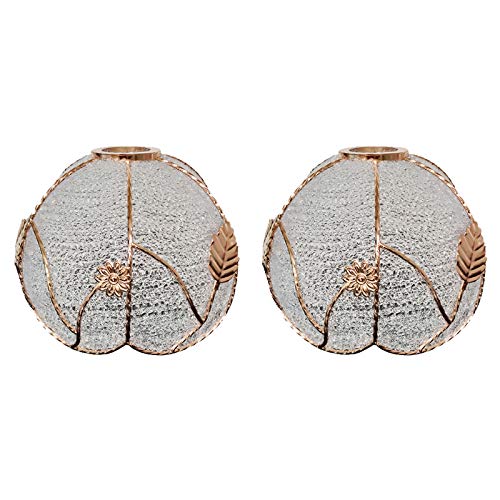 ANYE 2-Pack Clear Crystal Glass Globe Lamp Shades - Replacement Fixtures for Floor Lamps, Table Lamps & Pendant Lights - Perfect for Living Room, Bedroom & Office Decor