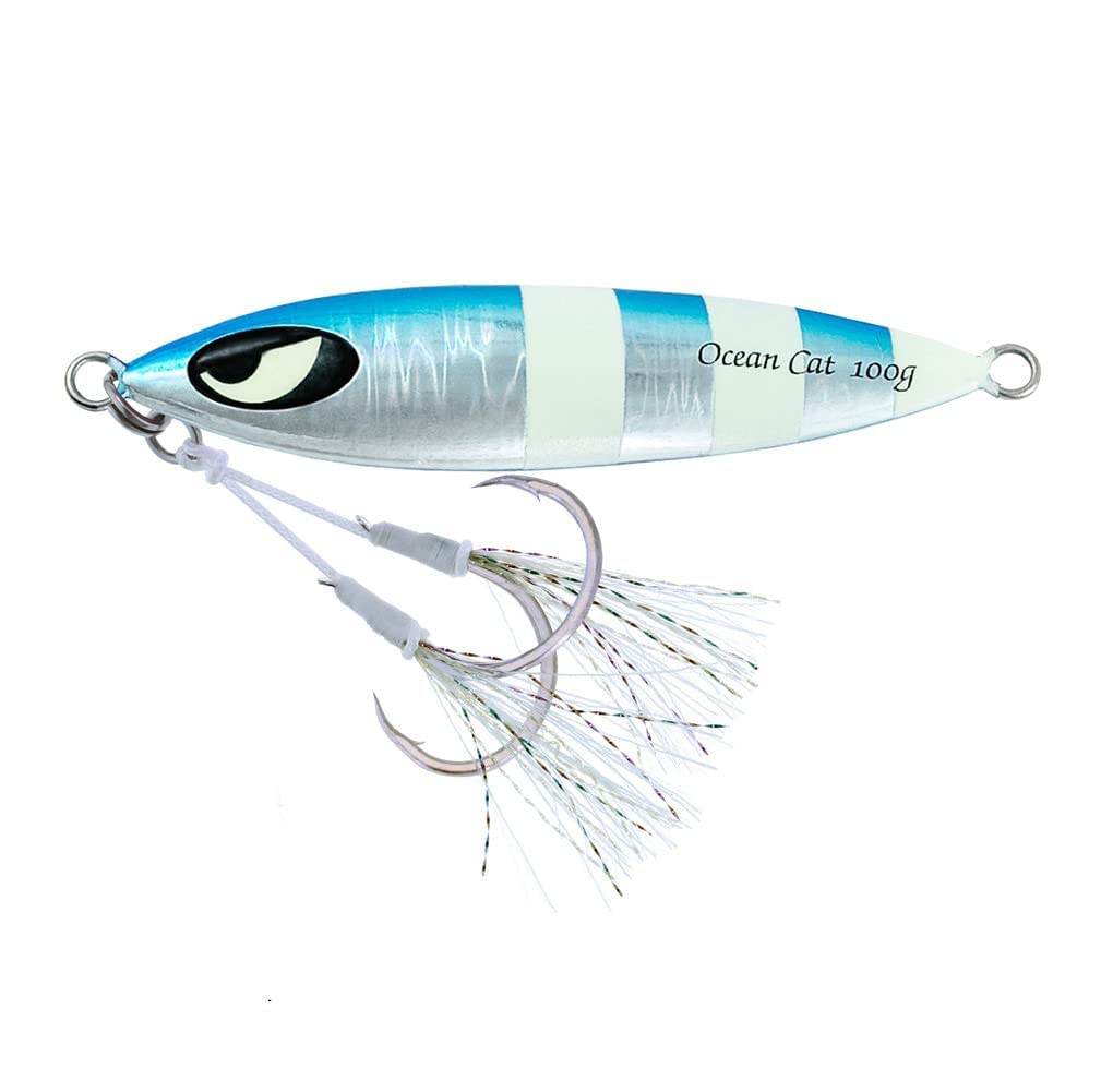 OCEAN CAT Slow Sinking Metal Jig Lures for Saltwater Fishing - 1PC Lead Flat Jig with Hook for Jigging, Trolling & Bottom Fishing | Perfect for Deep Sea, Pier and Shoreline Angling