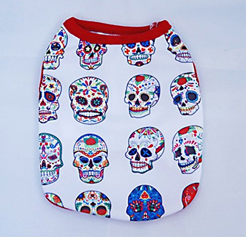 Skull-1