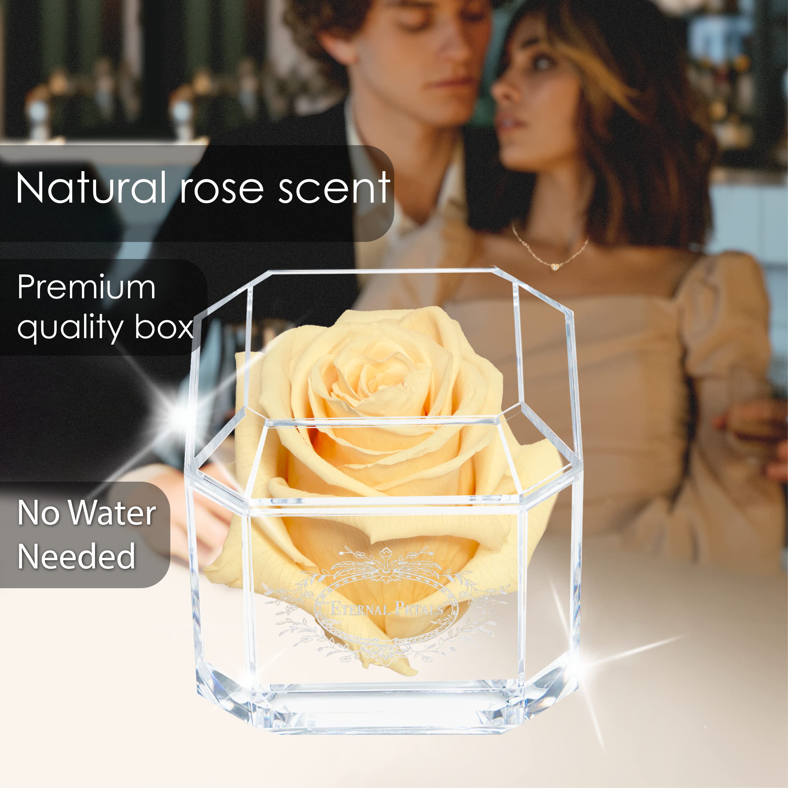 Eternal Petals Real Preserved Rose That Lasts 1 Year+ | Handmade in London | 24K White Gold Champagne Rose Gift | Perfect for Anniversaries, Valentine's Day & Romantic Occasions