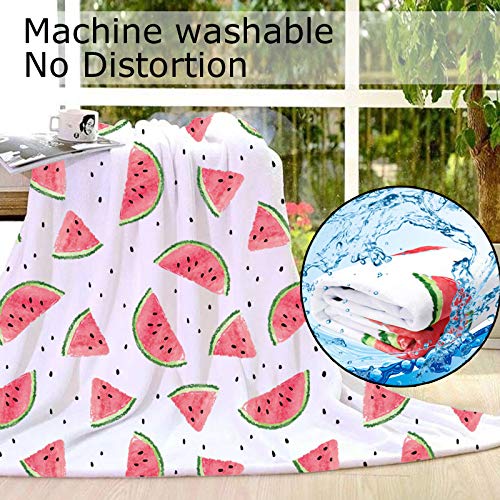 Yunine Lmorey Super Soft 60x80 Inch Throw Blanket - Underwater World with Dolphins & Plants Design for Bed, Couch, Sofa - Perfect for Travel, Camping, Kids & Adults - Cozy Home Decor & Gift Idea