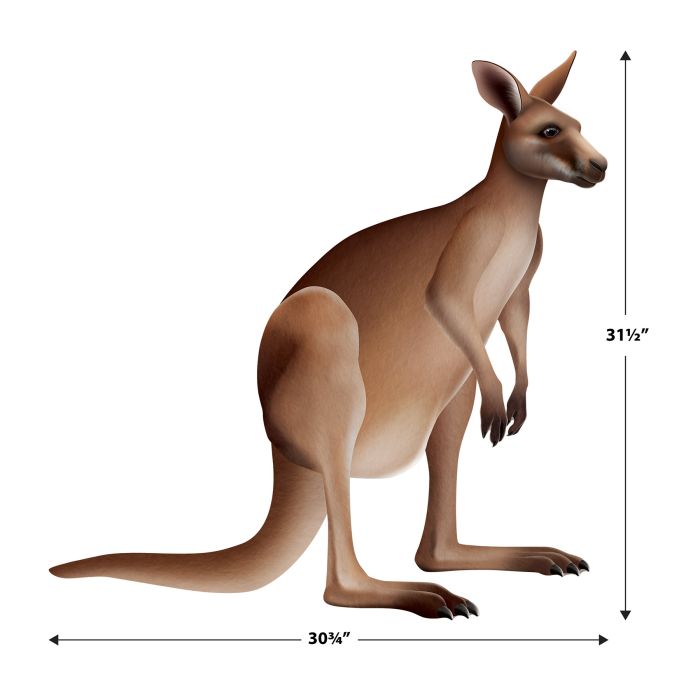 12 Pack Beistle Jointed Kangaroo Wall Decorations - Fun & Festive Party Supplies for Birthday, Baby Shower & Classroom Decor